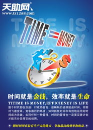 上海網頁制作與市場營銷策劃 睿達網絡的專業之道